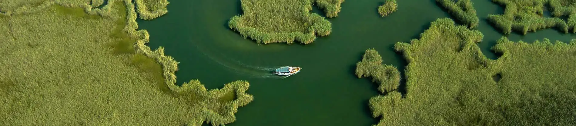 Dalyan Region